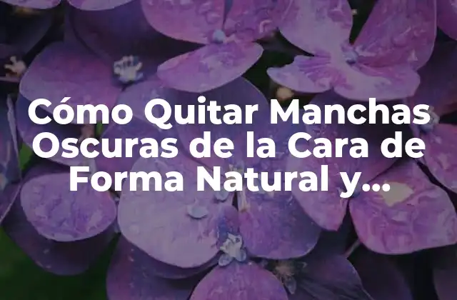 Cómo Quitar Manchas Oscuras de la Cara de Forma Natural y Efectiva
