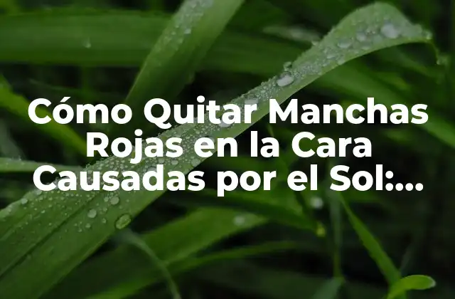 Cómo Quitar Manchas Rojas en la Cara Causadas por el Sol: Guía Completa