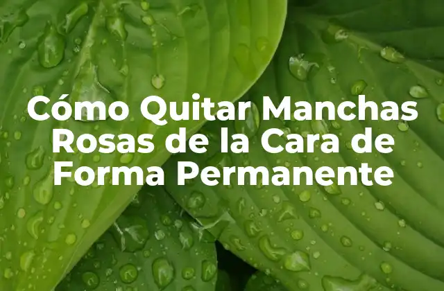 Causas de las Manchas Rosadas en la Cara