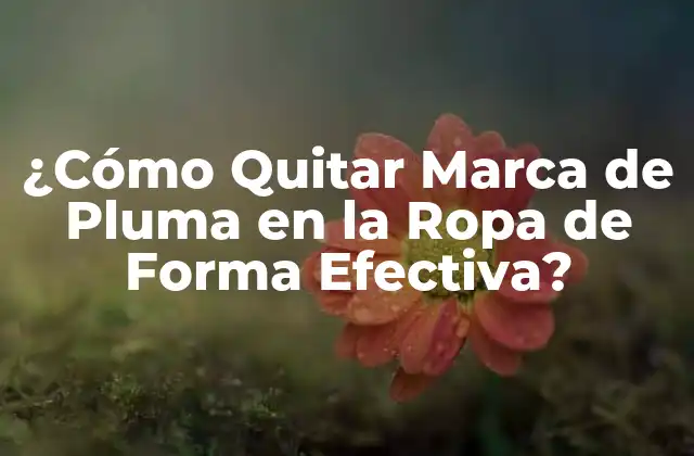 ¿cómo Quitar Marca de Pluma en la Ropa de Forma Efectiva?