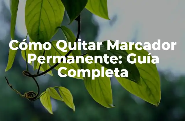 Cómo Quitar Marcador Permanente: Guía Completa
