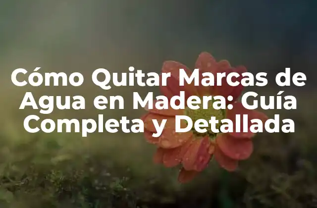 Cómo Quitar Marcas de Agua en Madera: Guía Completa y Detallada
