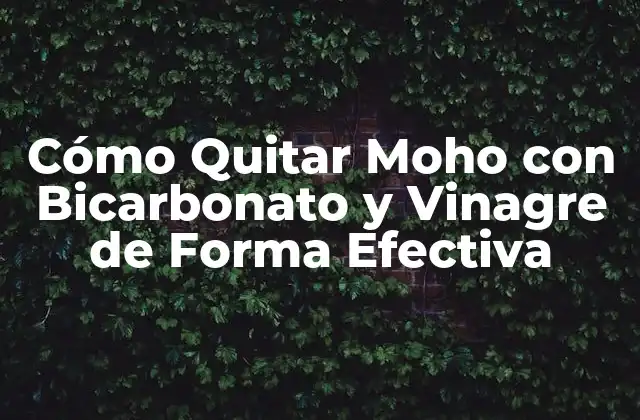 Cómo Quitar Moho con Bicarbonato y Vinagre de Forma Efectiva