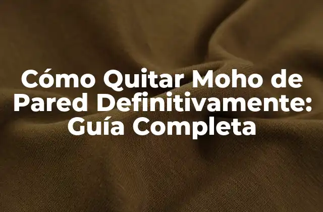 Cómo Quitar Moho de Pared Definitivamente: Guía Completa