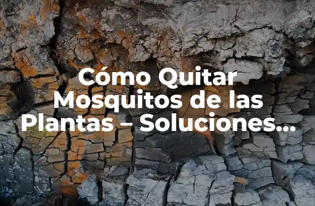 Cómo Quitar Mosquitos de las Plantas – Soluciones Naturales y Efectivas