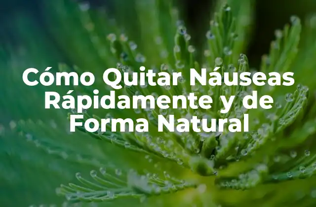 ¿Cuáles son las Causas más Comunes de las Náuseas?