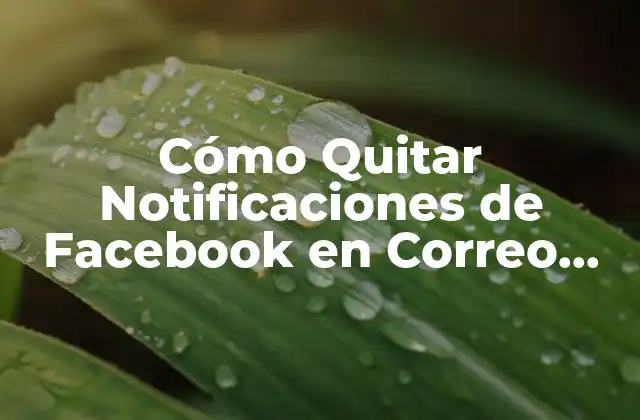 Cómo Quitar Notificaciones de Facebook en Correo Electrónico