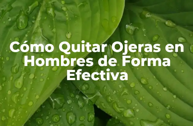 Cómo Quitar Ojeras en Hombres de Forma Efectiva 2 Causas de las Ojeras en Hombres