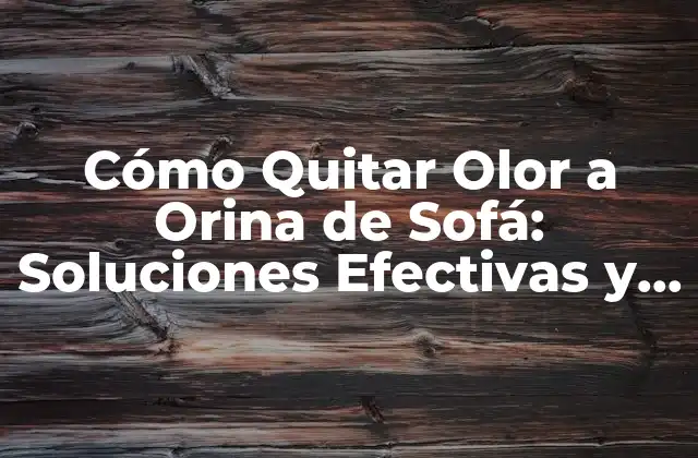 Cómo Quitar Olor a Orina de Sofá: Soluciones Efectivas y Permanentes