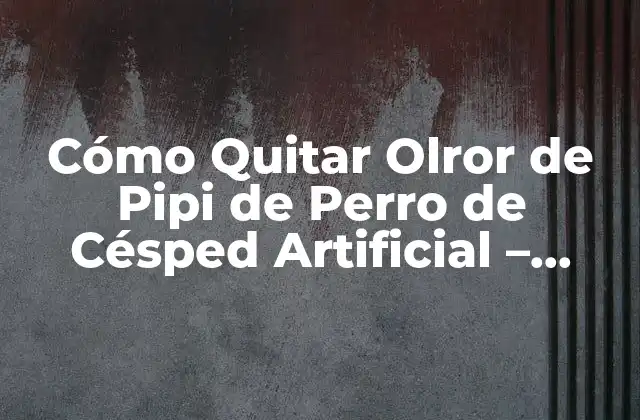 Cómo Quitar Olror de Pipi de Perro de Césped Artificial – Soluciones Efectivas