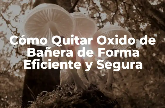 Cómo Quitar Oxido de Bañera de Forma Eficiente y Segura