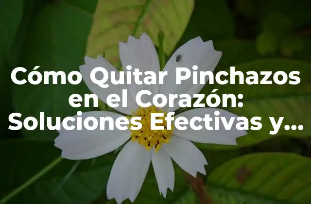 Cómo Quitar Pinchazos en el Corazón: Soluciones Efectivas y Naturales