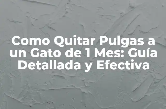 ¿Qué son las Pulgas y cómo Afectan a los Gatos?