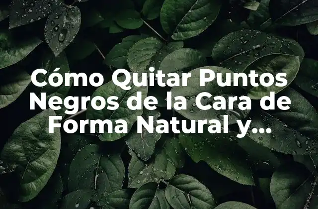 Cómo Quitar Puntos Negros de la Cara de Forma Natural y Permanente 2 Causas de los Puntos Negros