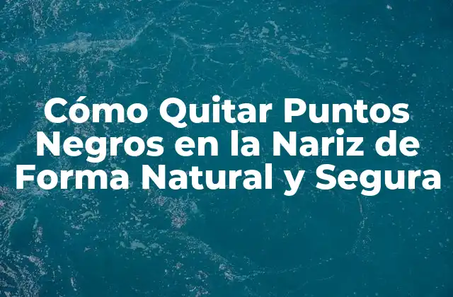 Cómo Quitar Puntos Negros en la Nariz de Forma Natural y Segura