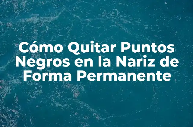 Cómo Quitar Puntos Negros en la Nariz de Forma Permanente 2 Causas de los Puntos Negros en la Nariz