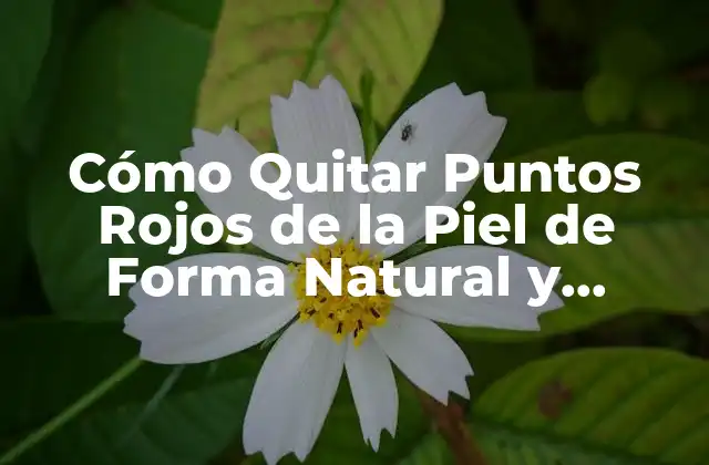 Cómo Quitar Puntos Rojos de la Piel de Forma Natural y Eficiente