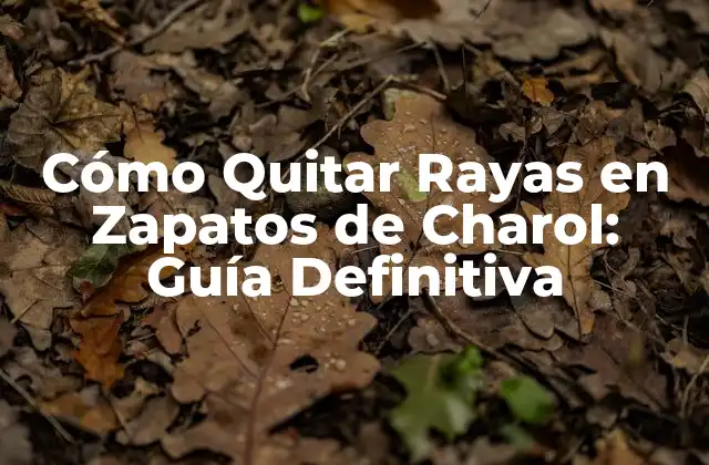 Cómo Quitar Rayas en Zapatos de Charol: Guía Definitiva