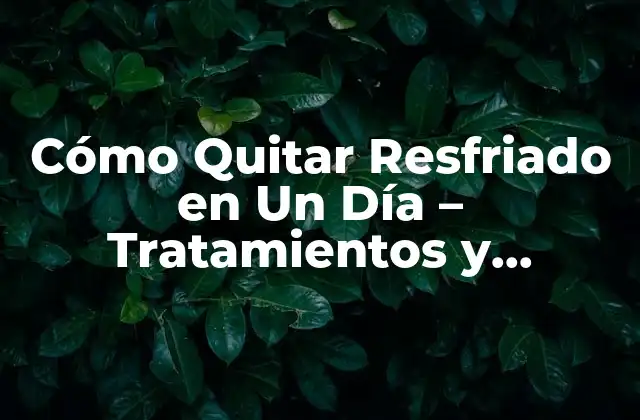Cómo Quitar Resfriado en un Día – Tratamientos y Remedios Naturales
