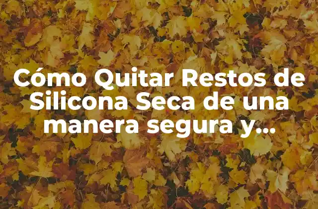 Cómo Quitar Restos de Silicona Seca de una Manera Segura y Efectiva