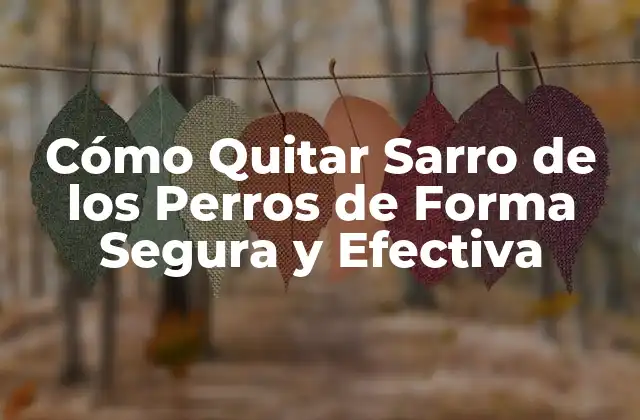 Cómo Quitar Sarro de los Perros de Forma Segura y Efectiva 2 ¿Qué es el Sarro en los Perros?
