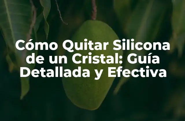 Cómo Quitar Silicona de un Cristal: Guía Detallada y Efectiva