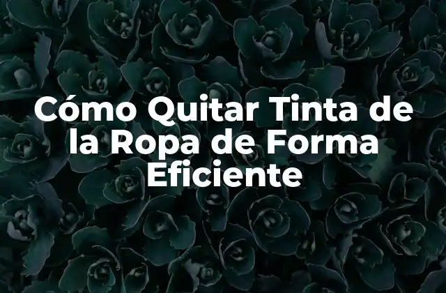 Cómo Quitar Tinta de la Ropa de Forma Eficiente