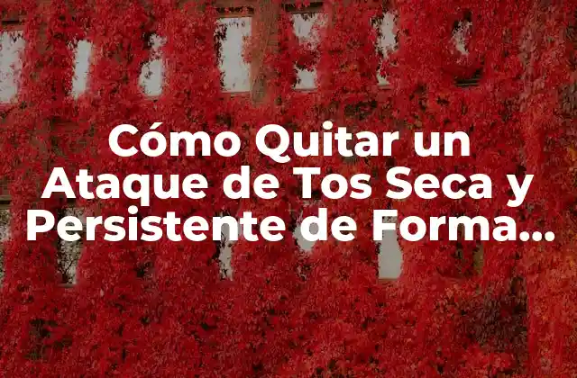 Cómo Quitar un Ataque de Tos Seca y Persistente de Forma Natural