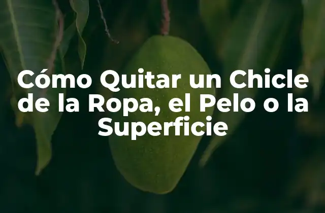 Cómo Quitar un Chicle de la Ropa, el Pelo o la Superficie