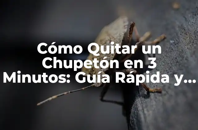 Cómo Quitar un Chupetón en 3 Minutos: Guía Rápida y Efectiva
