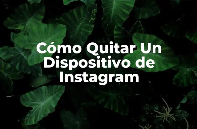 Cómo Quitar un Dispositivo de Instagram 2 ¿Por qué Debes Quitar Un Dispositivo de Instagram?