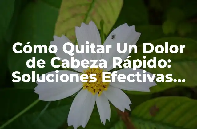 Cómo Quitar un Dolor de Cabeza Rápido: Soluciones Efectivas para Aliviar el Dolor
