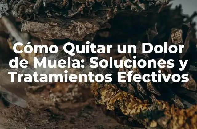 Cómo Quitar un Dolor de Muela: Soluciones y Tratamientos Efectivos