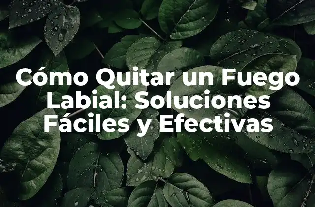 Cómo Quitar un Fuego Labial: Soluciones Fáciles y Efectivas
