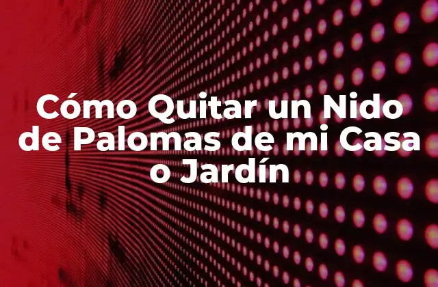 Por qué Debe Quitar un Nido de Palomas