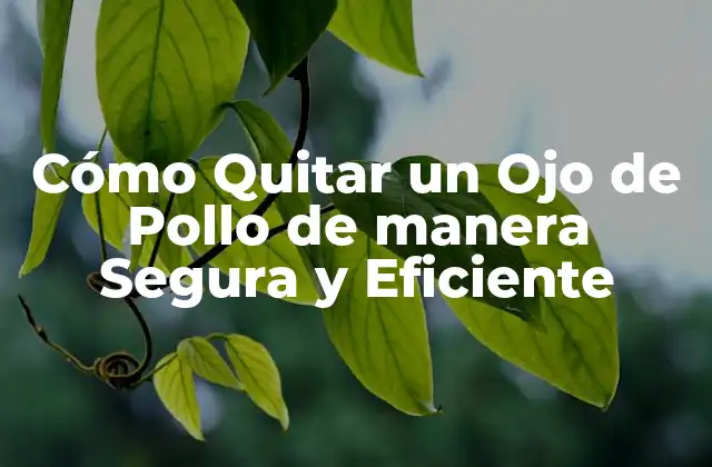 Cómo Quitar un Ojo de Pollo de Manera Segura y Eficiente 2 ¿Por qué es Importante Quitar los Ojos de Pollo?
