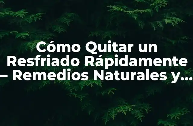 Cómo Quitar un Resfriado Rápidamente – Remedios Naturales y Tratamientos Efectivos