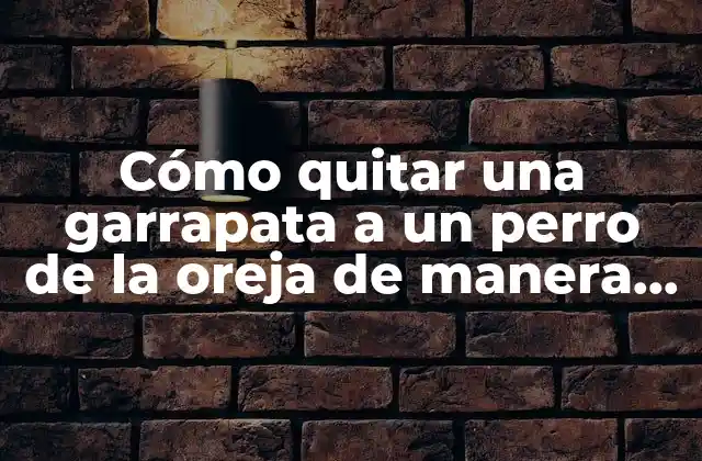 Cómo Quitar una Garrapata a un Perro de la Oreja de Manera Segura y Efectiva