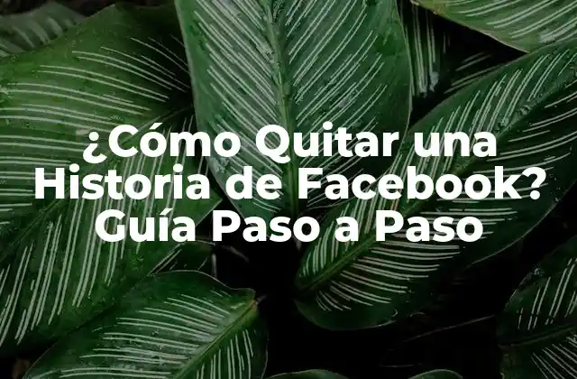 ¿cómo Quitar una Historia de Facebook? Guía Paso a Paso