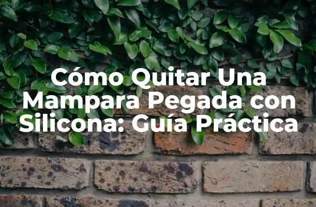 Cómo Quitar una Mampara Pegada con Silicona: Guía Práctica