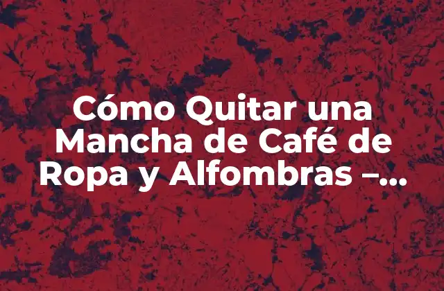 Cómo Quitar una Mancha de Café de Ropa y Alfombras – Soluciones Fáciles y Efectivas