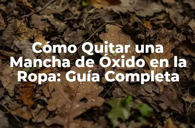 Cómo Quitar una Mancha de Óxido en la Ropa: Guía Completa 2 Causas de las Manchas de Óxido en la Ropa