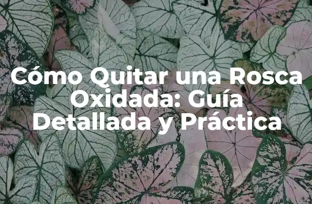 Cómo Quitar una Rosca Oxidada: Guía Detallada y Práctica