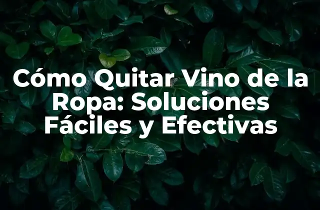 Cómo Quitar Vino de la Ropa: Soluciones Fáciles y Efectivas