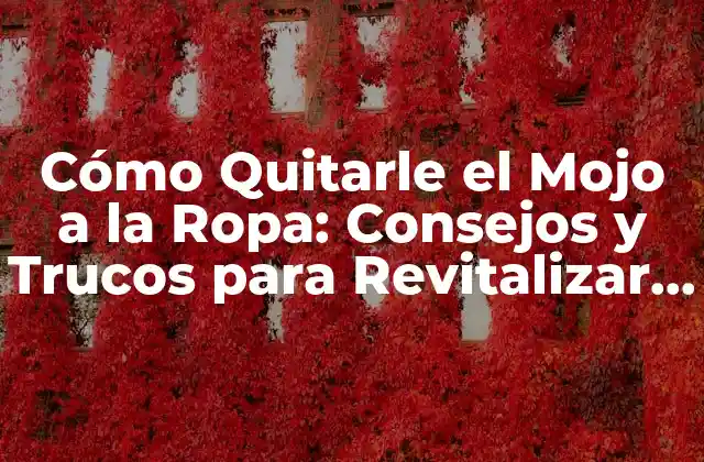 Cómo Quitarle el Mojo a la Ropa: Consejos y Trucos para Revitalizar Tu Armario