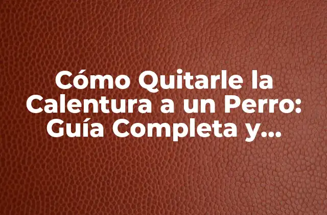 Cómo Quitarle la Calentura a un Perro: Guía Completa y Práctica