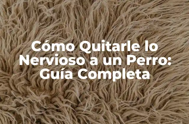 Cómo Quitarle Lo Nervioso a un Perro: Guía Completa