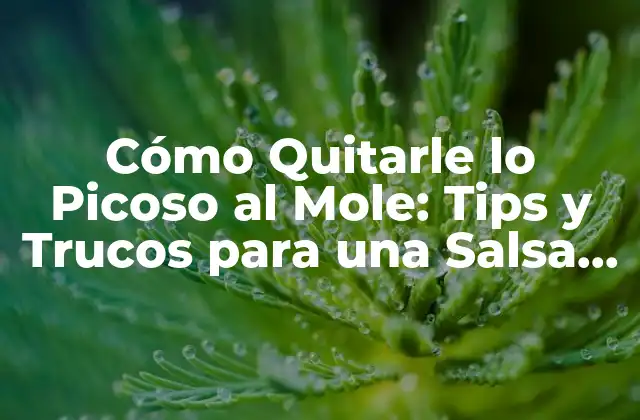 Cómo Quitarle Lo Picoso Al Mole: Tips y Trucos para una Salsa Perfecta
