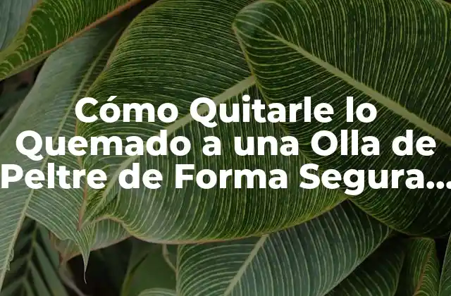Cómo Quitarle Lo Quemado a una Olla de Peltre de Forma Segura y Eficiente