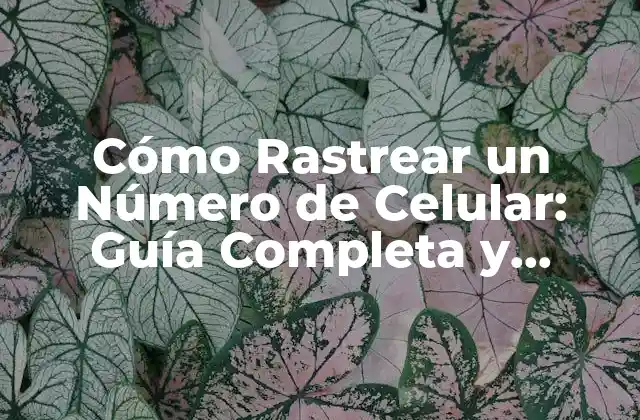 Cómo Rastrear un Número de Celular: Guía Completa y Segura